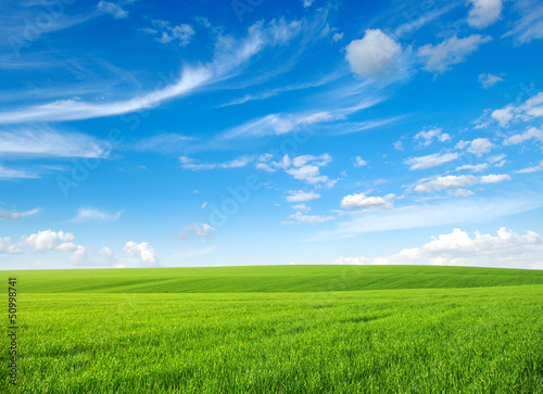 Obraz na płótnie wzgórze lato niebo trawa pejzaż