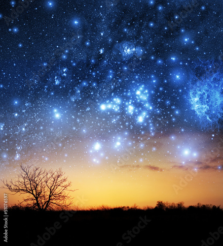 Naklejka Nocne niebo z gwiazdami