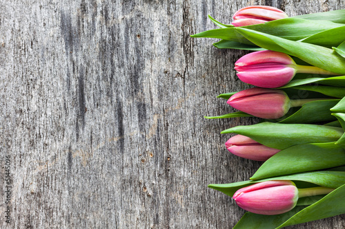 Naklejka bukiet roślina tulipan kwiat