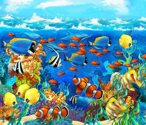 Plakat zwierzę panorama meduza żółw podwodny