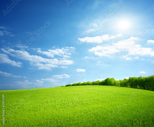 Fotoroleta pole trawa niebo łąka ogród