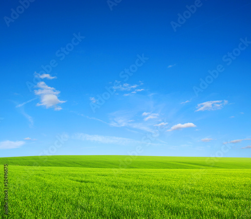 Plakat rolnictwo łąka pastwisko trawa