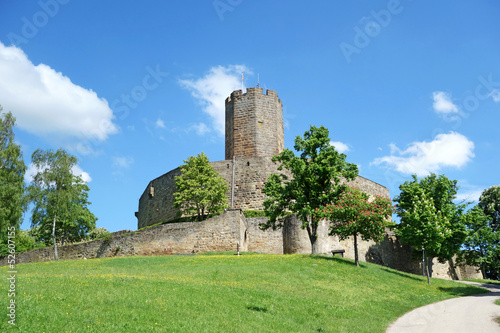 Fototapeta stary europa łąka antyczny wieża