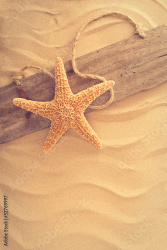 Plakat rozgwiazda plaża natura lato