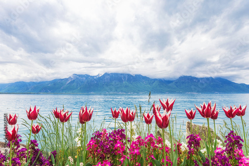 Naklejka Tulipany nad brzegiem jeziora