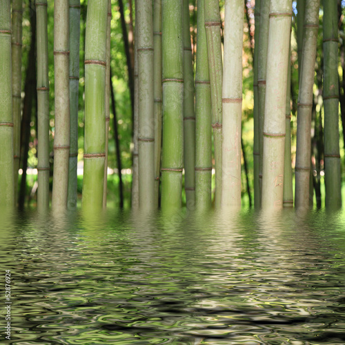 Plakat zen bambus relaks medytacja