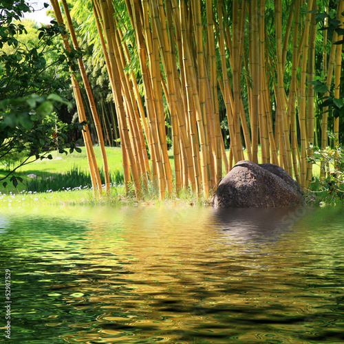 Fototapeta bambus woda spokojny zen relaks