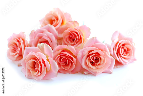 Plakat Bukiet różowych róż