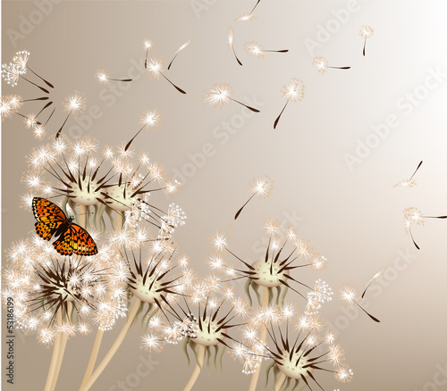 Fotoroleta kwiat motyl lato stylowy vintage