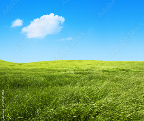 Plakat trawa niebo polana miasto pole