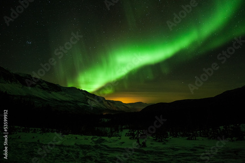 Obraz na płótnie natura północ skandynawia drzewa noc