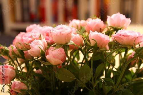 Fototapeta kwiat bukiet rosa natura piękny