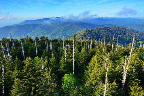 Fototapeta drzewa natura wzgórze widok szczyt góry