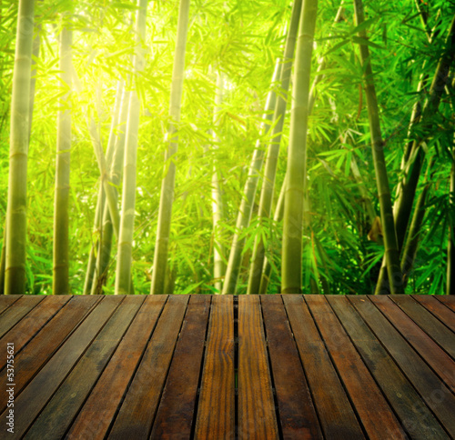 Plakat japonia bambus stary las