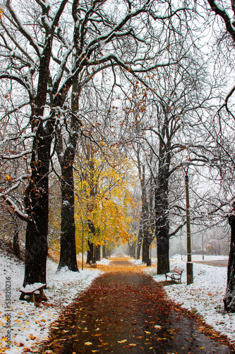 Obraz na płótnie Śnieg w parku