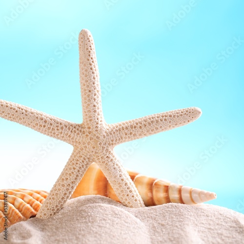 Obraz na płótnie rozgwiazda lato muszla układ piasek