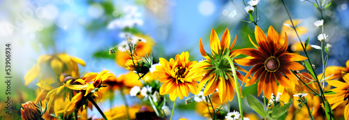 Naklejka bukiet kwiat natura ogród słońce