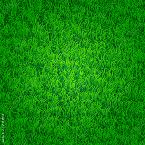 Obraz na płótnie natura pejzaż roślina wzór łąka