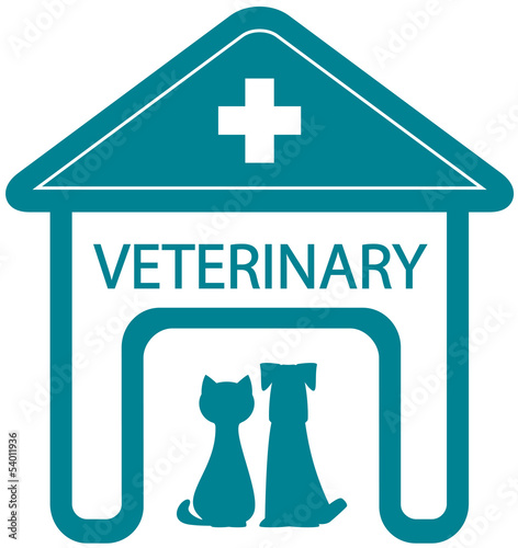 Plakat pies medycyna zwierzę miłość kot