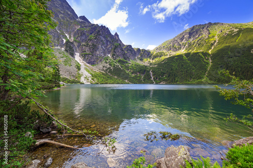 Obraz na płótnie las woda lato sosna tatry