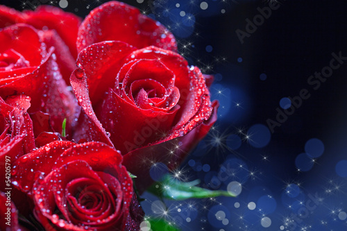Naklejka piękny bukiet świeży rosa kwiat