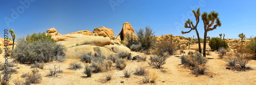 Naklejka pustynia krajobraz błękitne niebo