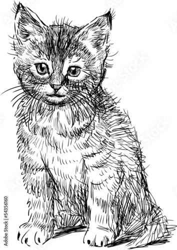 Naklejka Siedzący kotek szkic