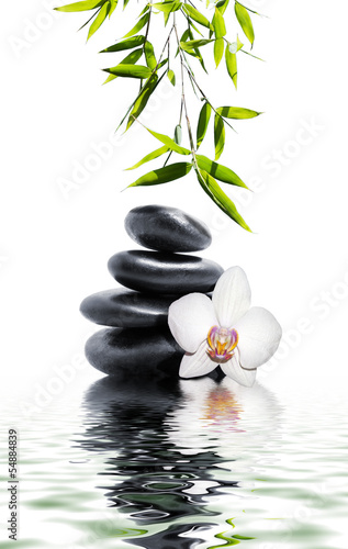 Naklejka storczyk kwiat woda masaż
