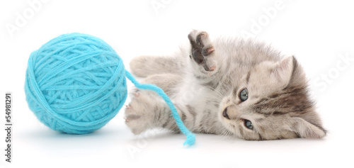 Plakat ładny zwierzę kociak piłka kot