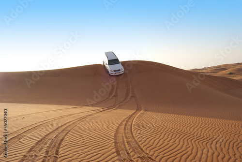 Naklejka samochód arabian transport sport