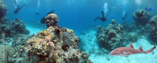 Plakat koral ryba tropikalny