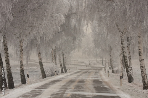 Plakat drzewa droga śnieg rower szron