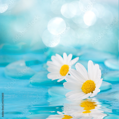 Plakat woda morze kwiat