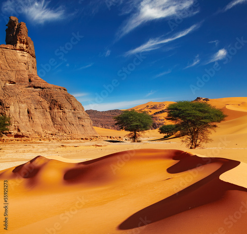 Plakat pustynia piękny pejzaż