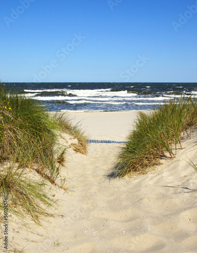 Obraz na płótnie wyspa trawa wellnes plaża
