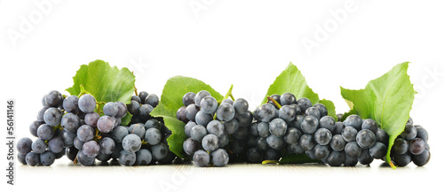 Fototapeta Kiście czerwonych winogron