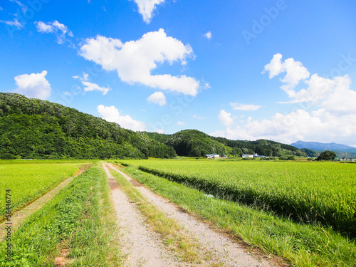 Plakat błękitne niebo spokojny krajobraz rolnictwo góra