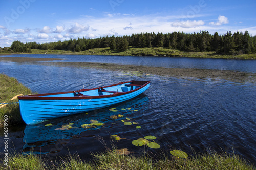 Fotoroleta morze łódź trawa