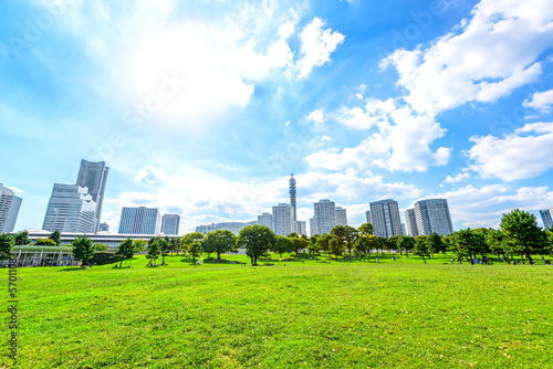 Naklejka japonia trawa miejski park