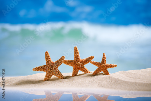 Naklejka Rozgwiazdy na plaży
