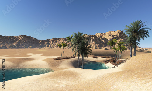 Fotoroleta pustynia woda palma pejzaż