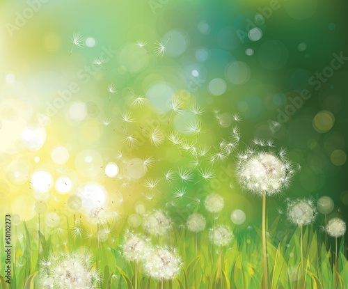 Plakat lato słońce wzór natura kwiat