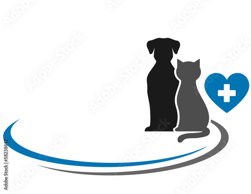 Obraz na płótnie pies zdrowie kociak kot para