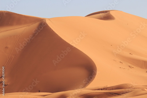 Fotoroleta krajobraz zwierzę wydma