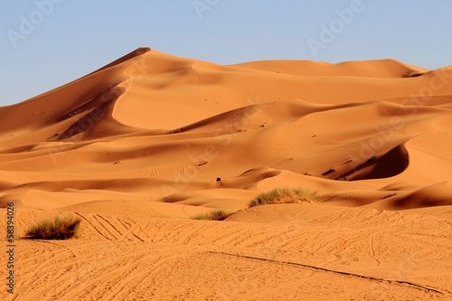 Naklejka egipt krajobraz safari arabski wydma