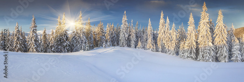Obraz na płótnie góra las krajobraz panorama