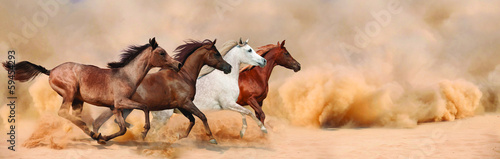 Plakat koń źrebak zwierzę ruch stado