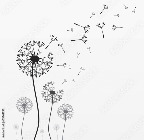 Plakat natura roślina wzór kwiat trawa