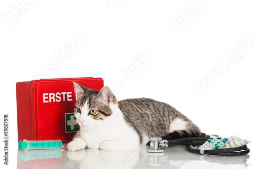 Obraz na płótnie kot zdrowie walizka