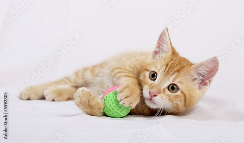 Obraz na płótnie Kociak z piłką